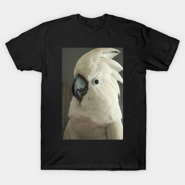 Umbrella cockatoo parrot bird portrait T-Shirt by Oranjade0122